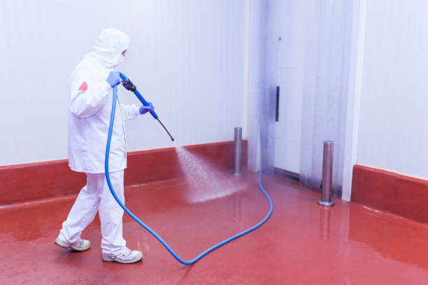 Best Solar Panel Cleaning  in Pompano Beach, FL